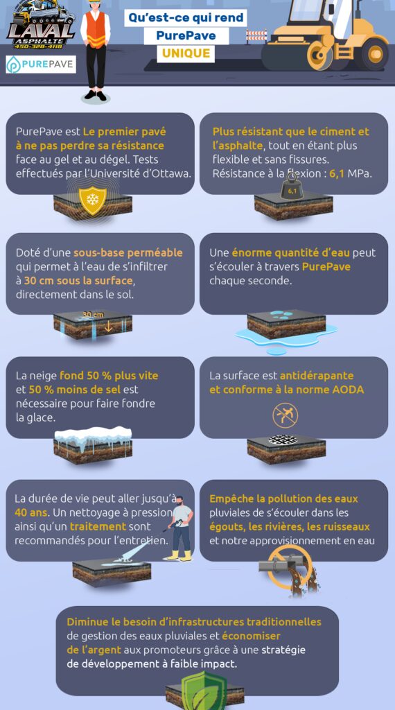 finalinfograpic_French-570x1024